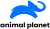 Animal Planet Channel Number on Airtel DTH (Airtel Digital TV)