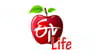 Etv Life Channel Number on Airtel DTH (Airtel Digital TV)