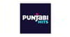 Punjabi Hits Channel Available on Tata Play